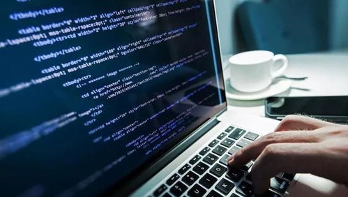 就業率最高的十大專業 軟件工程居首，信息技術咨詢前景廣闊